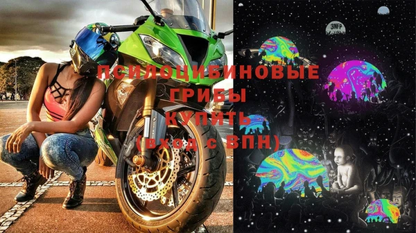герыч Алексин