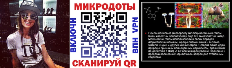 Галлюциногенные грибы Psilocybe  Среднеколымск 